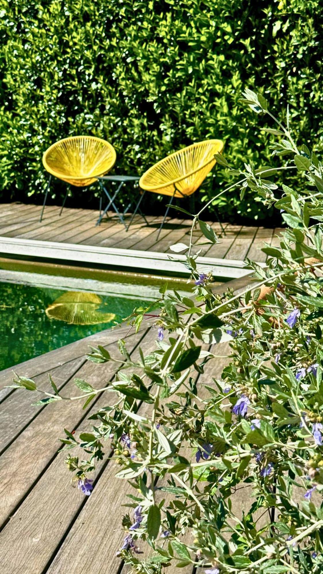 Bastelica Boutique Hotel Artemisia מראה חיצוני תמונה